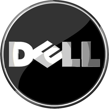 Dell PERC H355 Adapter, Customer Kit, Compatible with T150, T350, R250, R350, R750, R7525 (405-ABCT)