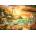 Bluebird Puzzle - Puzzle Pinson: Love the Beach 1000 - 1 000 piese