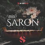 Soundiron Mini Saron (Дигитален продукт)