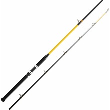 WFT NEVER CRACK CATFISH BOAT 2,1 m 250 - 1000 g 2 diely