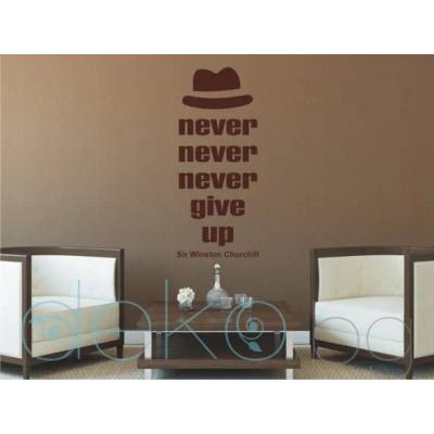 Never give up (13028)