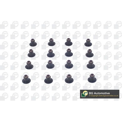 Sada těsnění, dřík ventilu BGA VK1379 – Zboží Mobilmania