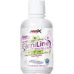 Amix Nutrition CarniLine Pro Fitness 2000 [480 мл] Ананас