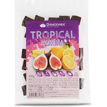 Damodara Ovocné kokina Tropical 100 g