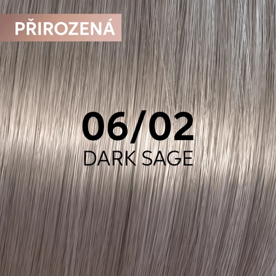 Wella Professionals Shinefinity Zero Lift Glaze 06/02 Dark Sage 60 ml