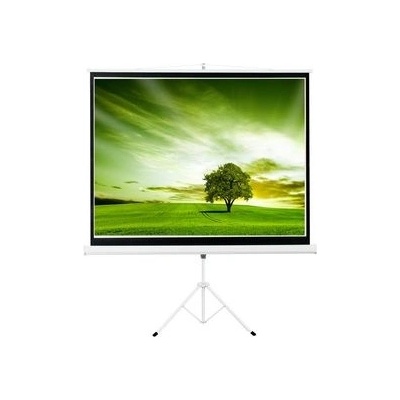 AVELI 86" 175x131cm 4:3 XRT-00111