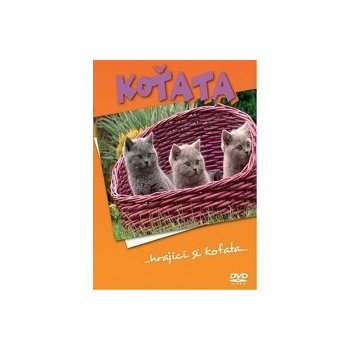 VARIOUS: KOTATA DVD