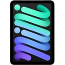 Apple iPad mini 7 2024 256GB Cellular 5G MXPT3