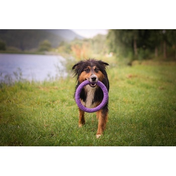 Puller Dog Hračka Kruh midi 20 cm