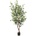 Umělý Eucalyptus strom, 140cm