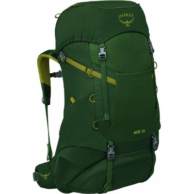 Detský turistický batoh Osprey Ace 38 - green canopy