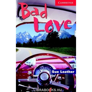 Bad Love Level 1 | Sue Leather (2009)
