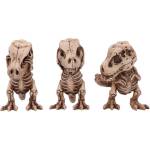 Nemesis Now Комплект статуетки Nemesis Now Adult: Humor - Three Wise T-Rex (Skeletons) (B6974A25)