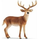 Figurky a zvířátka Schleich 14820 Kolouch jelena běloocasého
