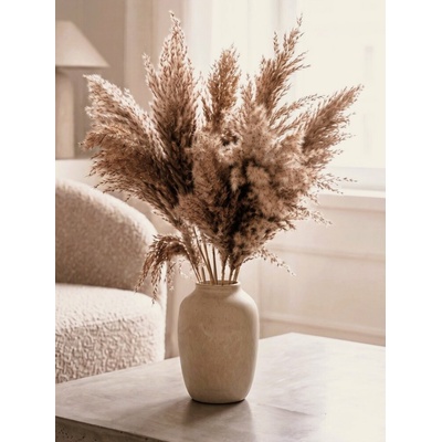 Sušená pampová tráva (pampas) přírodní odstín svazek 10ks, 50-60cm