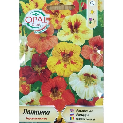 Opal Zi Латинка ниска микс