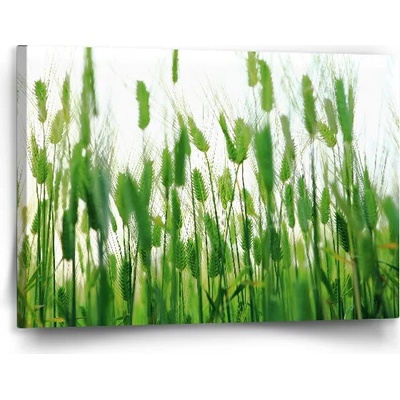 Sablio Obraz Klasy - 120x80 cm