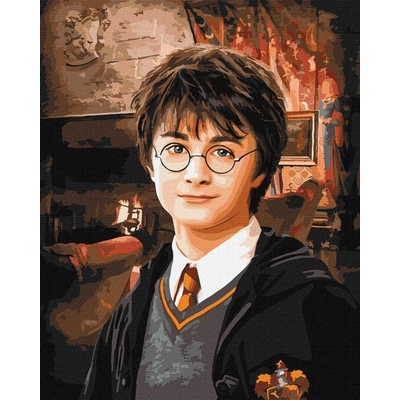 Ideyka Ideyka Malování podle čísel Harry Potter Warner Bros. 40 x 50 cm