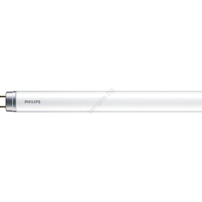 Philips LED Флуоресцентна тръба Philips MASTER T8 G13/6W/110V 4000K 45 см (P6648)
