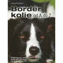 Border kolie