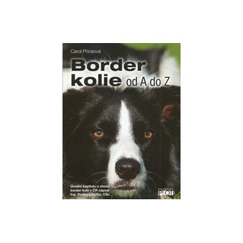 Border kolie