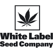 White Label White Widow Automatic semena neobsahují THC 10 ks