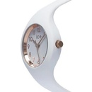 Ice Watch 015343