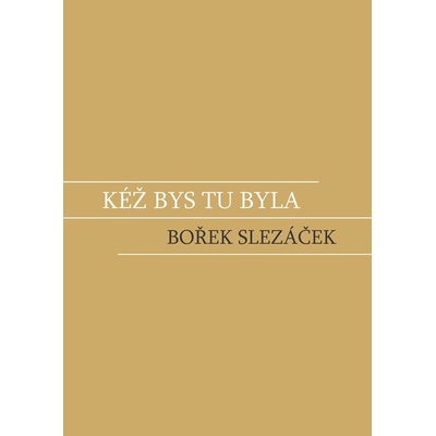 Kéž bys tu byla - Bořek Slezáček