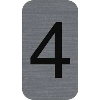 Informačná tabuľka, samolepiaca, 2,5x4,4 cm, hliníkový vzhľad, EXACOMPTA, č. 4