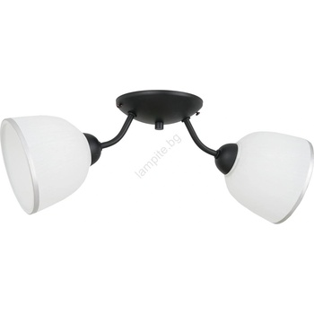 Luminex Плафон AVIA 2xE27/60W/230V (LU0176A)