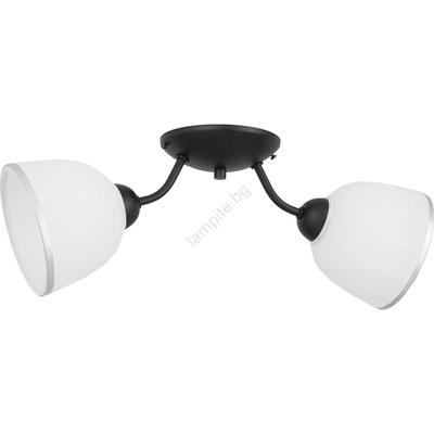 Luminex Плафон AVIA 2xE27/60W/230V (LU0176A)