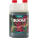 CANNA Cannaboost Accelerator 250ml