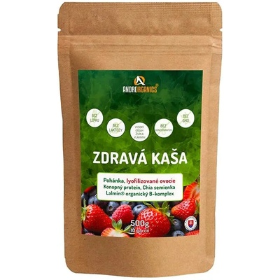 Androrganics Zdravá kaša ovocná 500 g