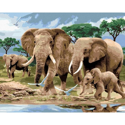 zuty Malování podle čísel Sloni na savaněHoward Robinson40 x 50 cm vypnuté plátno na rám 8596530061731