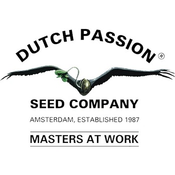 Dutch Passion Frisian Duck semena neobsahují THC 10 ks