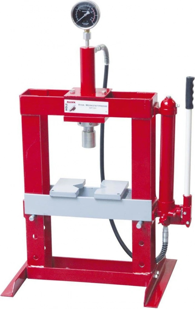 Holzmann WP10H