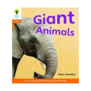 Oxford Reading Tree: Level 6: Floppy's Phonics Non-Fiction: Pack of 6 | Claire Llewellyn (ISBN: 9780198484844)