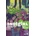 Snotgirl Volume 4