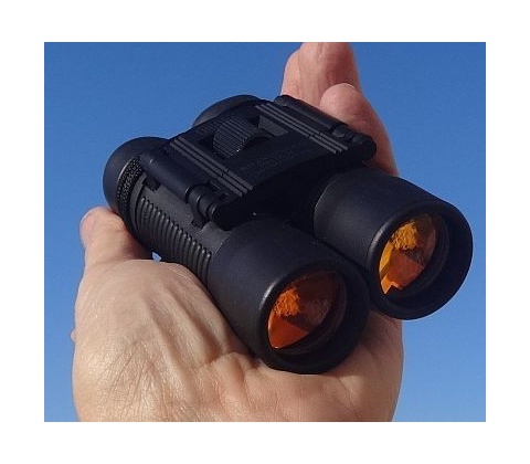 Bilora Bilogon 10x25