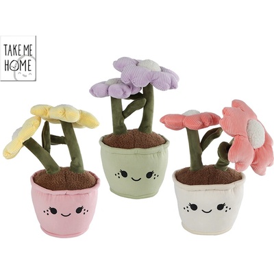 Mikro trading Take Me Home Rostlina pokojová 3 barvy 22 cm