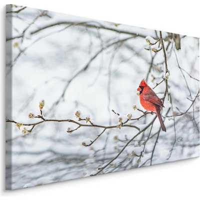 MyBestHome BOX Plátno Kardinál Červený Varianta: 70x50