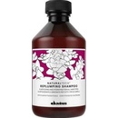 Davines Naturaltech Replumping Shampoo 100 ml