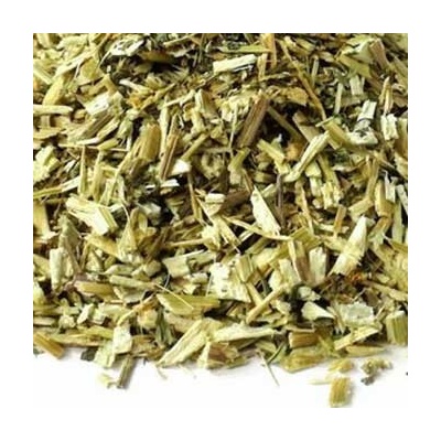 World Herbs Dvouzubec nať 100 g