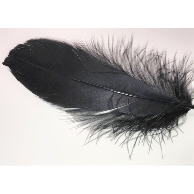Veniard Husí Peří Goose Shoulder Stiff Black 4 ks