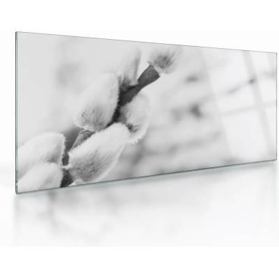 Sklenený obraz - Začiatok jari, jednodielne 100x50 cm na skle
