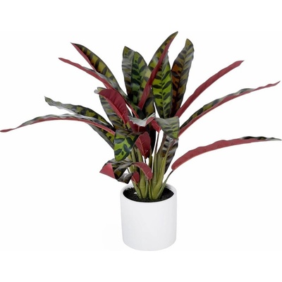 KALATEA V KER. ČREPNÍKU ZEL/FIAL. 58CM