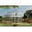 Palram Canopia Multiline 6X10 (701631)