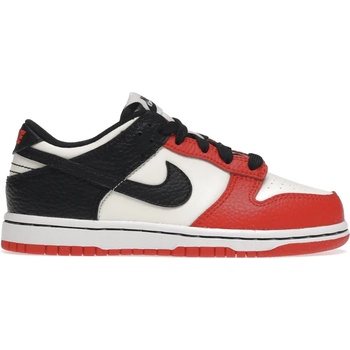 Nike Dunk Low EMB NBA 75th Anniversary Chicago DD3363-100