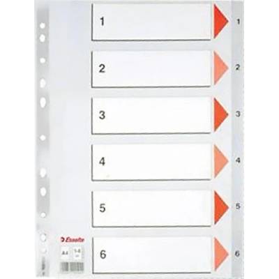 Záznamník, plastový, A4, 1–6, ESSELTE, sivý 100104