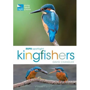 RSPB Spotlight Kingfishers | David Chandler (ISBN: 9781472987617)